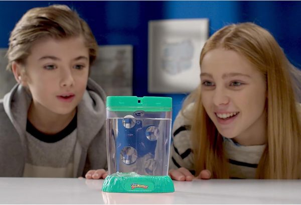 Sea-Monkeys? Ocean Zoo - World's Only Instant Pets? - Assorted Colors - Ages 6+ (Pack of 1)